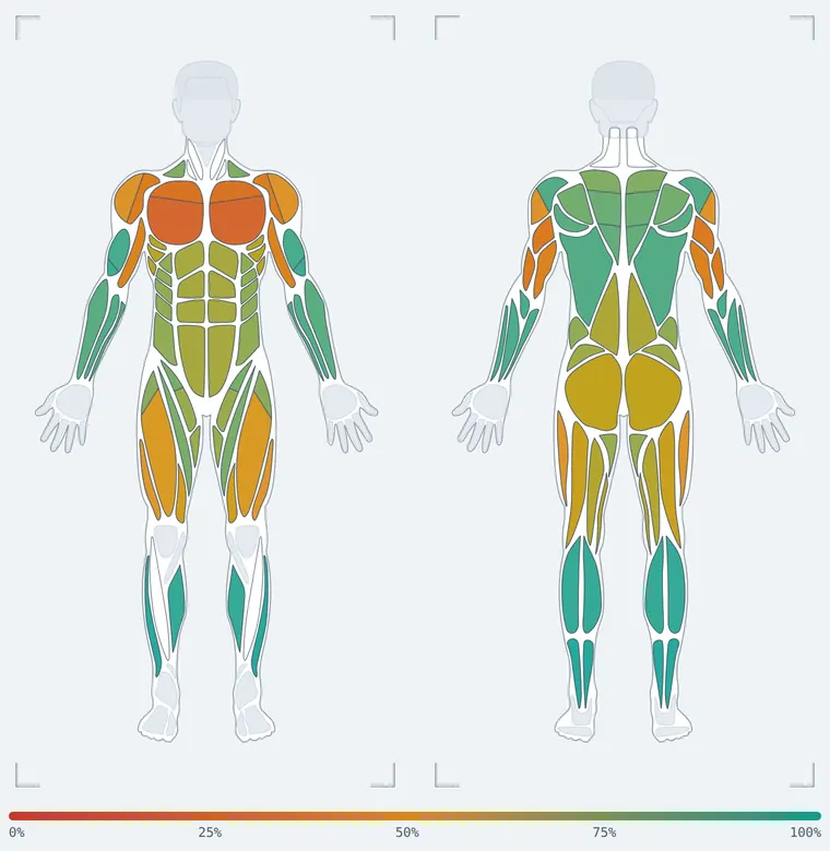 Front and back body map: chest and shoulders fatigued in red and orange, legs recovering in amber, calves and forearms recovered in teal, with a 0 to 100 percent scale.